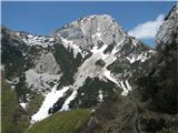 Javor - Monte Lavara (1906 m) Javor, južna pobočja, lepa gora